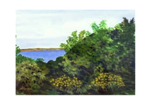 Wooded Seascape size 12 X 17in by Antonio del Moral
